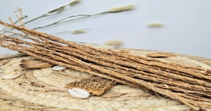 Khamare -Vetiver Root- Gongonli